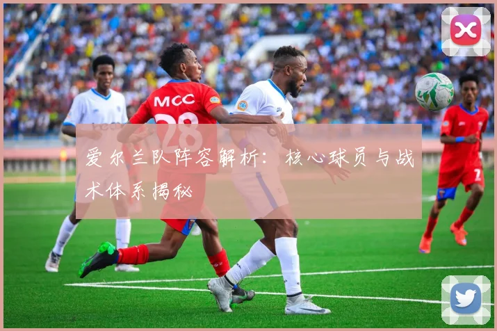 爱尔兰队阵容解析：核心球员与战术体系揭秘