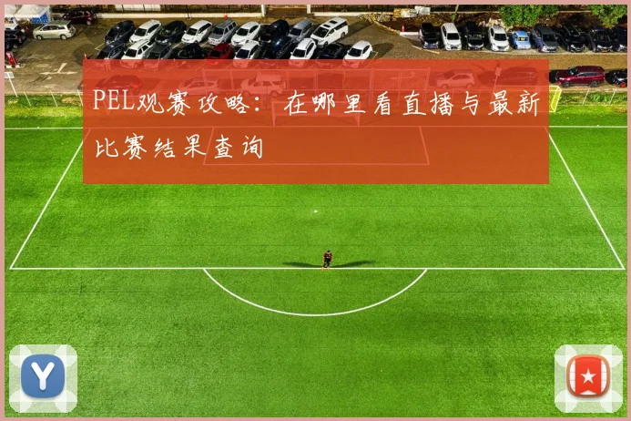 PEL观赛攻略：在哪里看直播与最新比赛结果查询