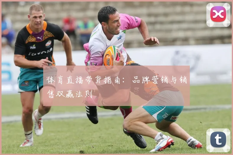 体育直播带货指南：品牌营销与销售双赢法则