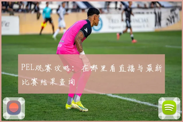 PEL观赛攻略：在哪里看直播与最新比赛结果查询